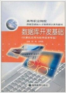 數(shù)據(jù)庫(kù)開(kāi)發(fā)基礎(chǔ) 計(jì)算機(jī)軟件開(kāi)發(fā)的核心技能