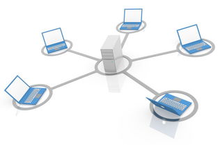 局域網(wǎng)與互聯(lián)網(wǎng) 計算機軟件開發(fā)中的雙重視角